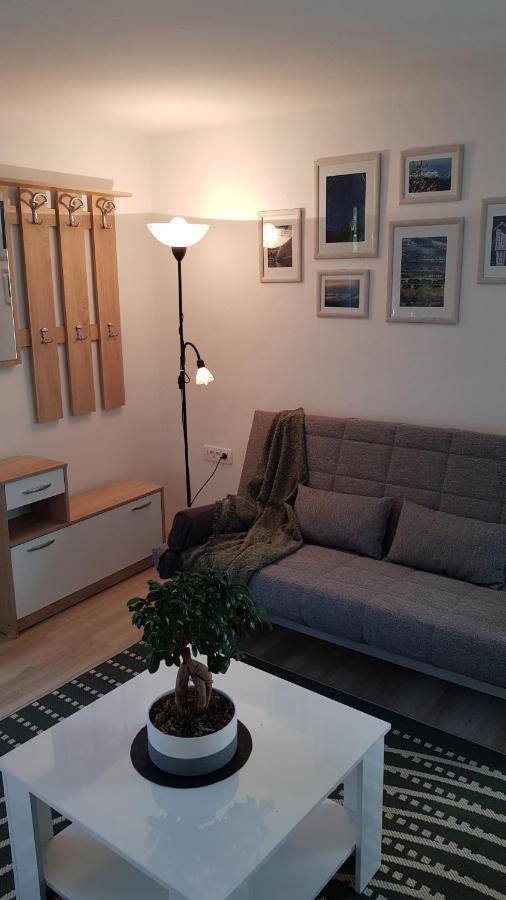 Apartament Koradinovi - Pod Vrtom Vipava Zewnętrze zdjęcie